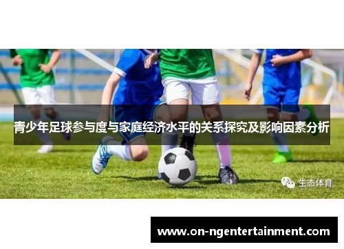 青少年足球参与度与家庭经济水平的关系探究及影响因素分析