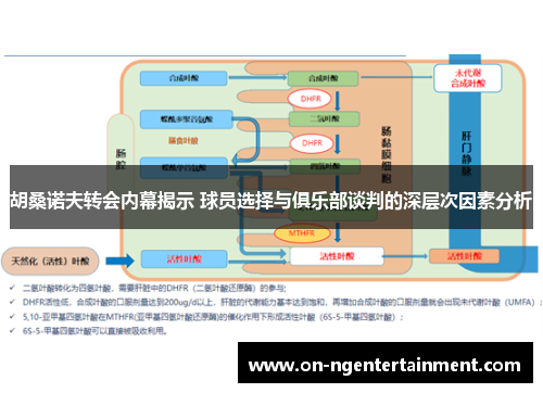 胡桑诺夫转会内幕揭示 球员选择与俱乐部谈判的深层次因素分析